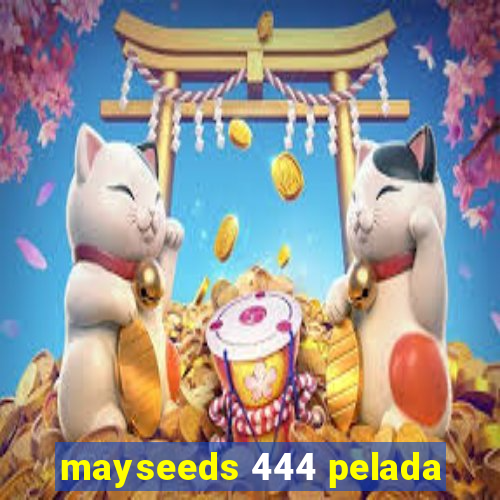 mayseeds 444 pelada